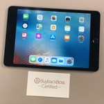 Good Apple iPad Mini 4 - Wi-Fi, 64 GB, Gray