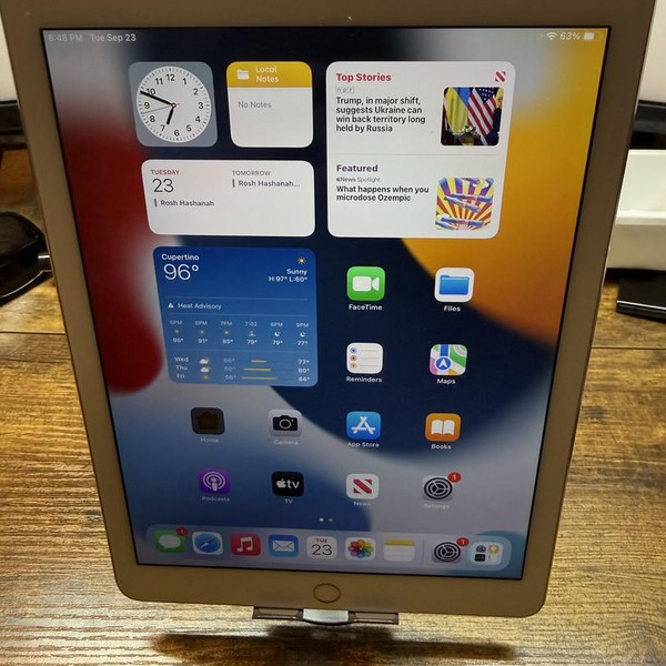 Apple iPad Air 2 - Wi-Fi, 64 GB, Gold