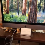 Good iMac Pro 2017 27 inch Retina 5K - 1 TB, 64 GB, Intel Xeon W