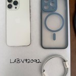 Good Apple iPhone 13 Pro - Unlocked, 256 GB, Silver, A2483