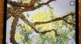 Good
													Apple iPad Pro 12.9" 5th Gen 2021 - Unlocked, Gray, 256 GB, photo 3 of 5