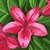 Seller: asritha p.
