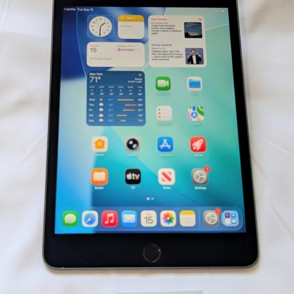 Apple iPad Mini (5th Gen) - Wi-Fi, 64 GB, Gray