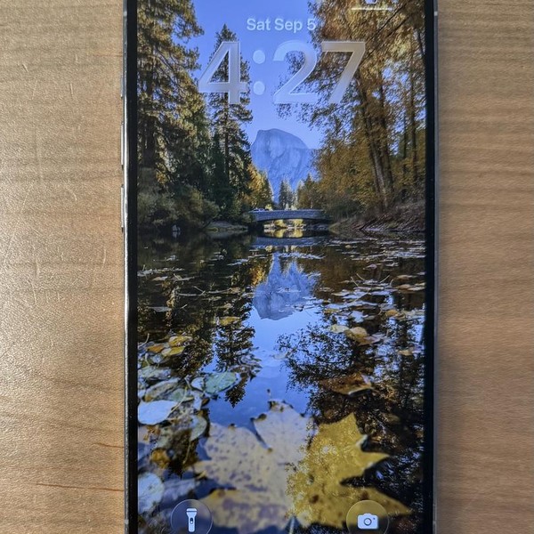 Apple iPhone 14 Pro - Unlocked, 128 GB, Silver, A2650
