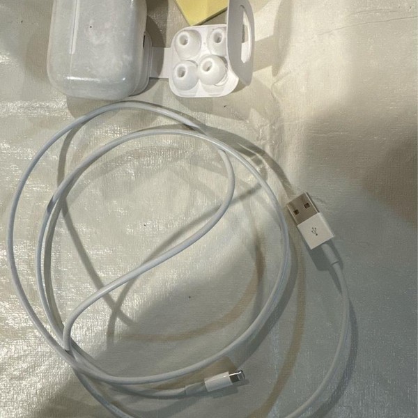 Apple AirPods Pro - MagSafe Case