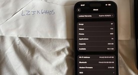 Mint
													Apple iPhone 16 Pro Max - Unlocked, Desert, 256 GB, A3084, photo 2 of 9