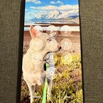 Mint Apple iPhone 16 Pro Max - T-Mobile, 256 GB, Black, A3084