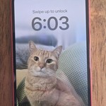 Good Apple iPhone 12 Mini - Unlocked, 64 GB, Red, A2176