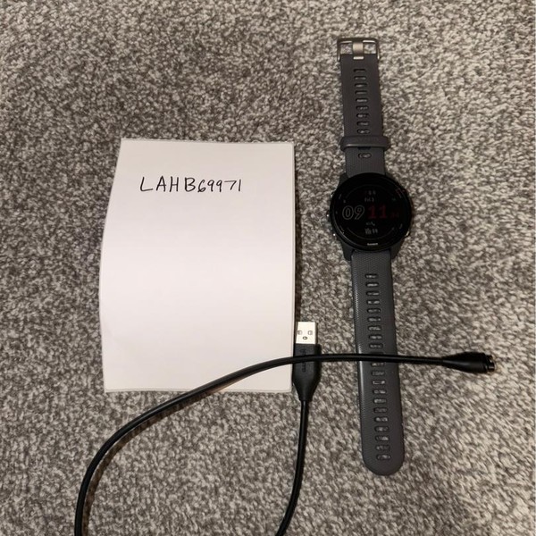 Garmin Forerunner 255 - Gray, Standard