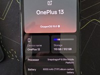 OnePlus 13