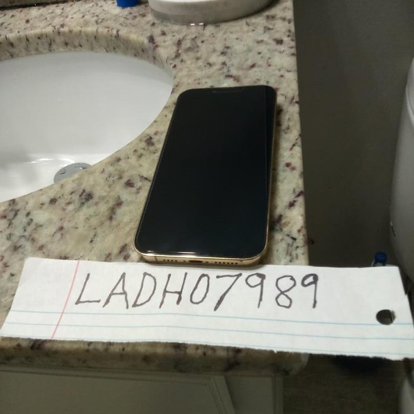 Apple iPhone 13 Pro Max - Unlocked, 128 GB, Gold, A2484