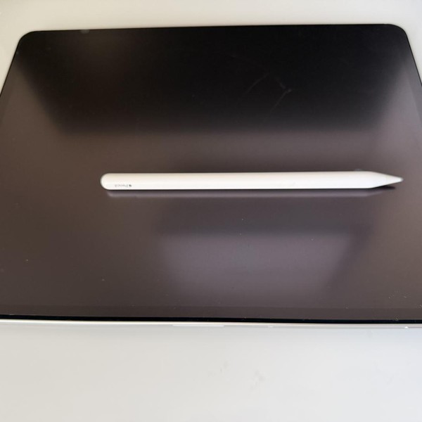 Apple iPad Pro 12.9 inch 6th Gen 2022 - Unlocked, 128 GB, Gray