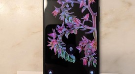 Good
													Google Pixel 6 - Unlocked, Black, 128 GB, 8 GB, GB7N6, photo 1 of 4