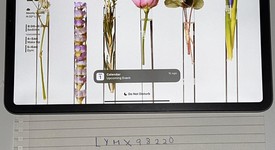 Mint
													Apple iPad Pro 11" 2nd Gen 2020 - Wi-Fi, Gray, 128 GB, A2228, photo 1 of 10