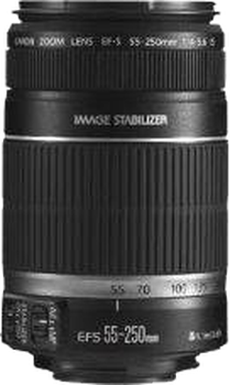 Canon EF-S 55-250mm f4-5.6 IS for sale