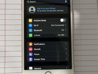 Apple iPhone 6S Plus