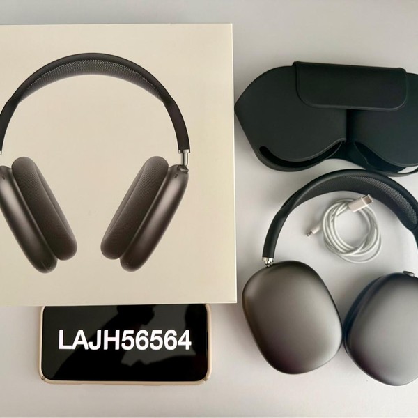Apple AirPods Max - Gray
