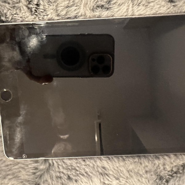 Apple iPad Mini 4 - Wi-Fi, 16 GB, Silver