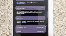 Mint
													Apple iPhone 16 Pro - Unlocked, Desert, 256 GB, A3083, photo 3 of 9