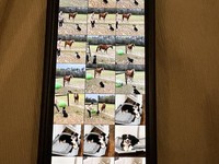 Samsung Galaxy Z Fold6