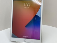 Apple iPad 7th Gen