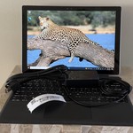 Good Microsoft Surface Pro 4 - 12.3 Inch - Wi-Fi, 256 GB, Silver, 8 GB