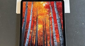 Good
													Apple iPad Pro 11" 3rd Gen 2021 - Wi-Fi, Gray, 256 GB, photo 1 of 10