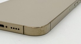 Fair
													Apple iPhone 13 Pro Max - Unlocked, Gold, 128 GB, A2484, photo 5 of 7