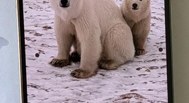 Good
													Apple iPhone 14 Pro - Unlocked, Purple, 256 GB, A2650, photo 3 of 7