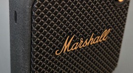 Mint
													Marshall Willen, photo 2 of 7