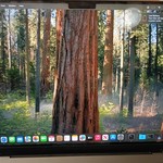 Mint MacBook Pro 2024 - 14 inch - 512 GB, Space Black, 24 GB, Apple M4 Pro 12-core