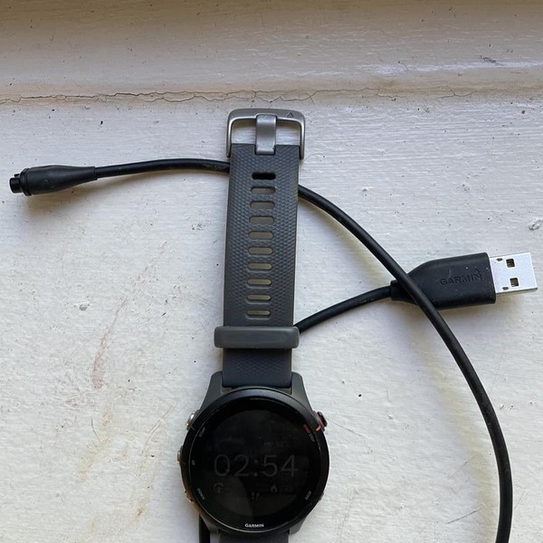 Garmin Forerunner 255 - Gray, Standard