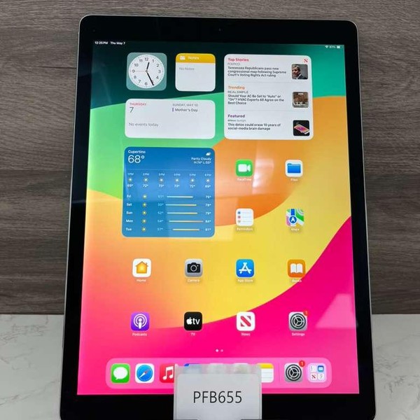 Apple iPad Pro 12.9 inch (2nd Gen) - Unlocked, 256 GB, Gray