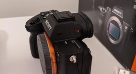 Mint
													Sony a7R III, photo 5 of 10