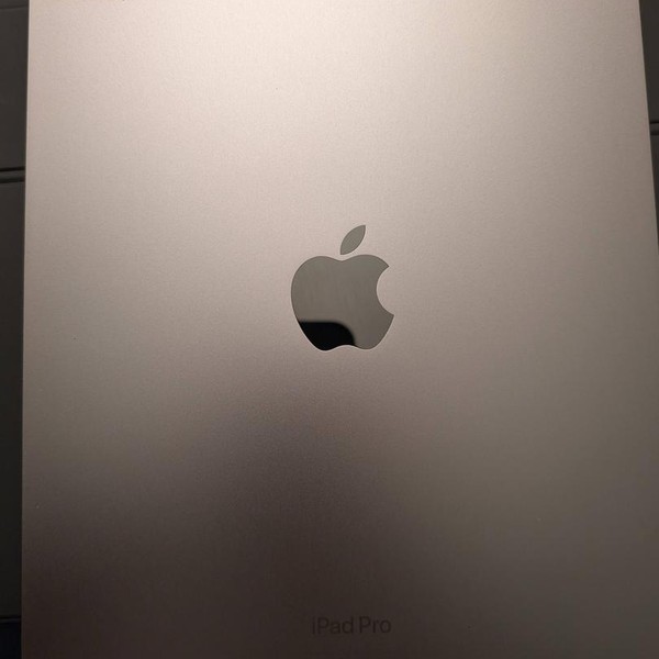 Apple iPad Pro 11 inch 4th Gen 2022 - Unlocked, 128 GB, Gray