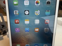 Apple iPad Mini