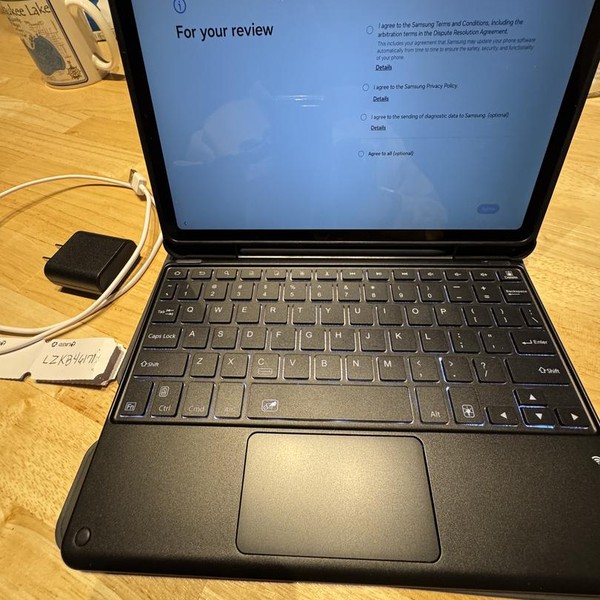 Samsung Galaxy Tab S6 Lite 2024 - Wi-Fi, 64 GB, Gray, 4 GB, SM-P620