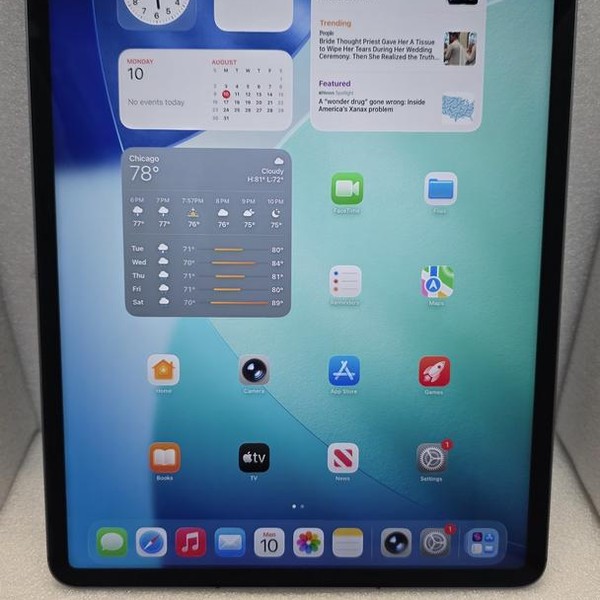 Apple iPad Pro 12.9 inch 5th Gen 2021 - Unlocked, 256 GB, Gray