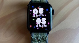 Mint
													Apple Watch SE 2nd Gen 40mm - Unlocked Non-US, Silver, A2725 - Cellular, Aluminum, photo 4 of 8