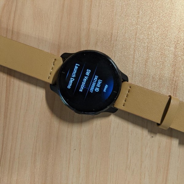 Garmin Venu 2 Plus - Black