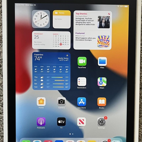 Apple iPad Air 2 - Wi-Fi, 64 GB, Gray