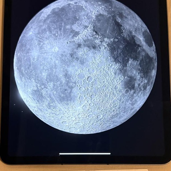 Apple iPad Pro 11 inch 3rd Gen 2021 - Unlocked, 512 GB, Gray