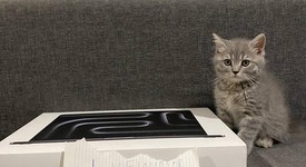 New
													MacBook Pro Late 2023 (M3) - 16" - Apple M3 Max 16-core, Black, 1 TB, 48 GB, 40-core GPU, photo 1 of 4
