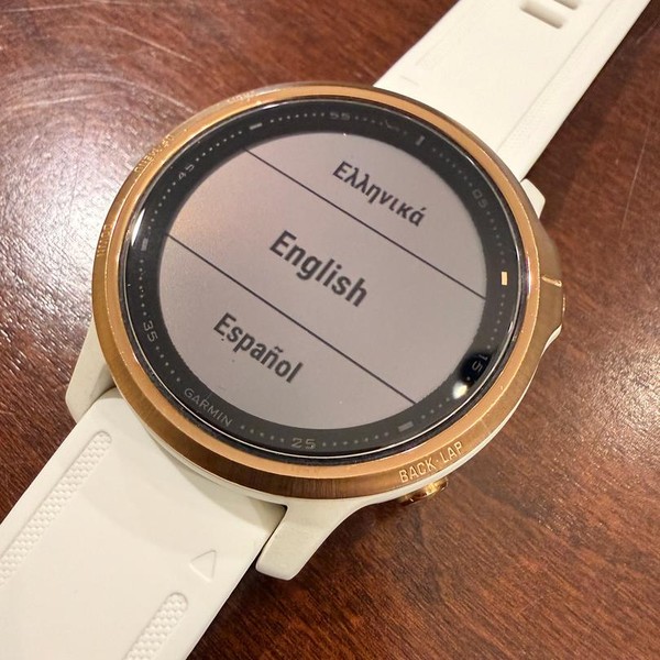 Garmin Fenix 6S - Rose Gold, Pro