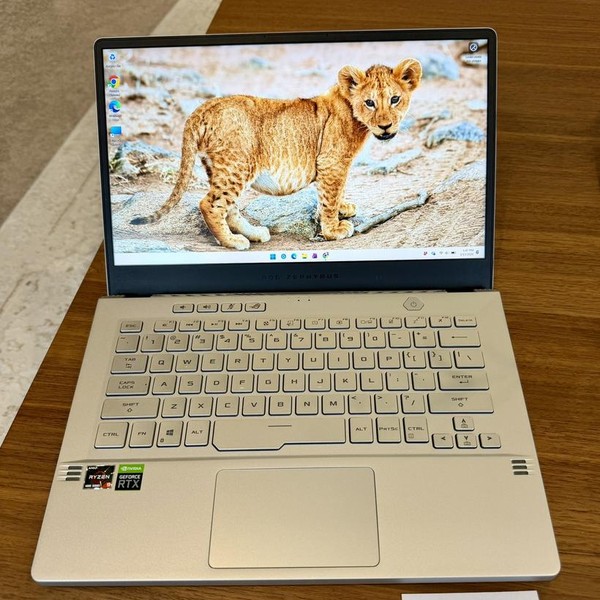 Asus ROG Zephyrus G14 (2020) GA401 - 1 TB, White, 16 GB, AMD Ryzen 9, FHD