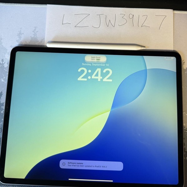 Apple iPad Pro 12.9 inch 3rd Gen 2018 - Wi-Fi, 256 GB, Gray, A1876