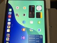 Apple iPad Pro 11" 4th Gen 2022