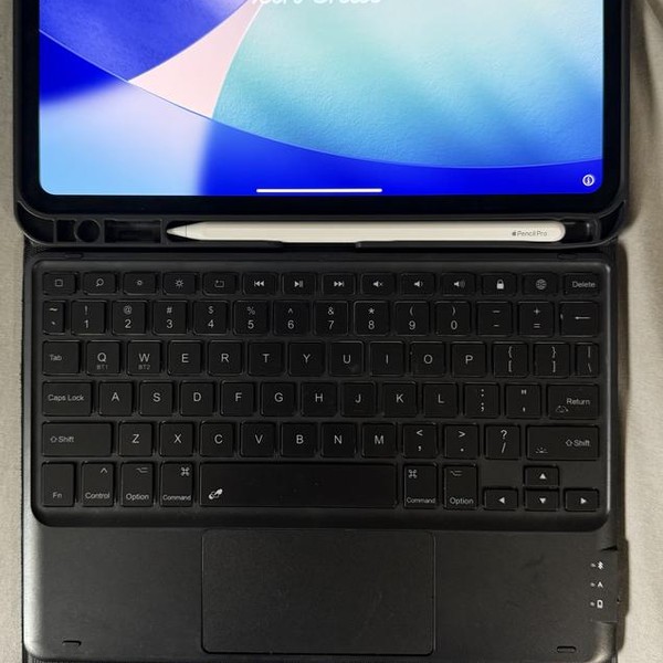 Apple iPad Pro 11 inch (M4) 2024 - Wi-Fi, 256 GB, Black, 8 GB, A2836, Standard Glass
