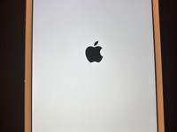 Apple iPad Mini 2 Retina