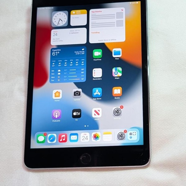 Apple iPad Mini 4 - Wi-Fi, 64 GB, Gray